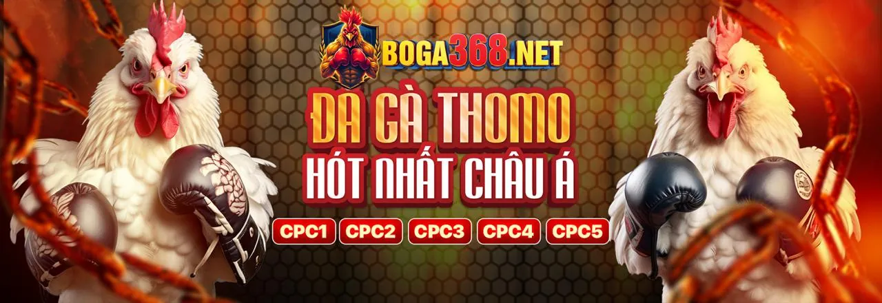 Sân đấu đá gà trực tuyến sôi động với ánh sáng vàng rực rỡ